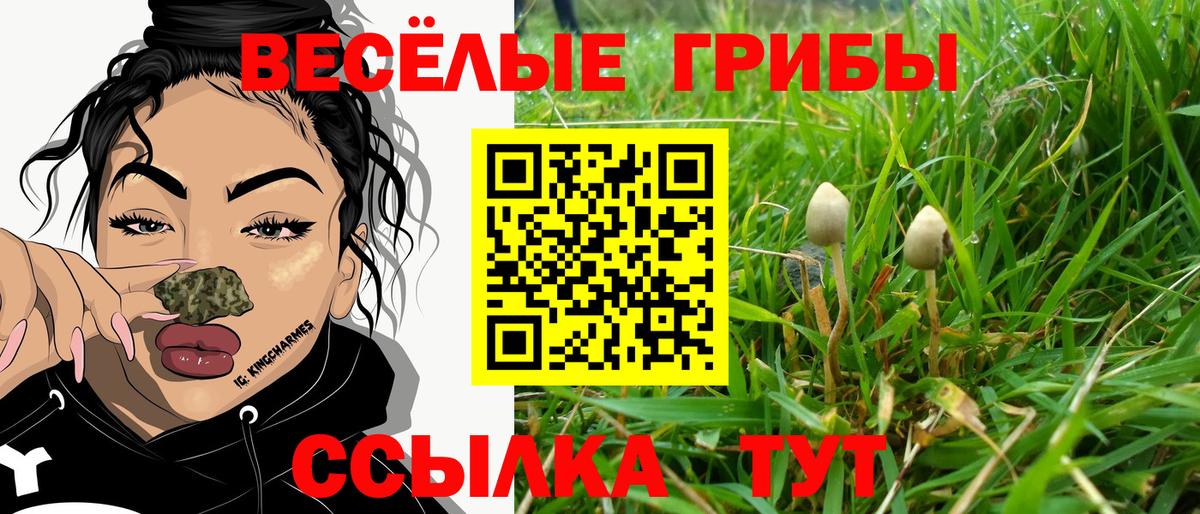 сколько стоит  Вход с VPN  Псилоцибиновые грибы мухоморы  Чернушка  Галлюциногенные грибы GOLDEN TEACHER 